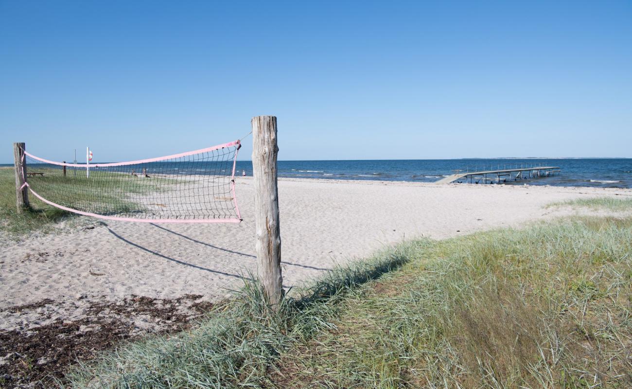 Фото Odder Beach с светлый песок поверхностью