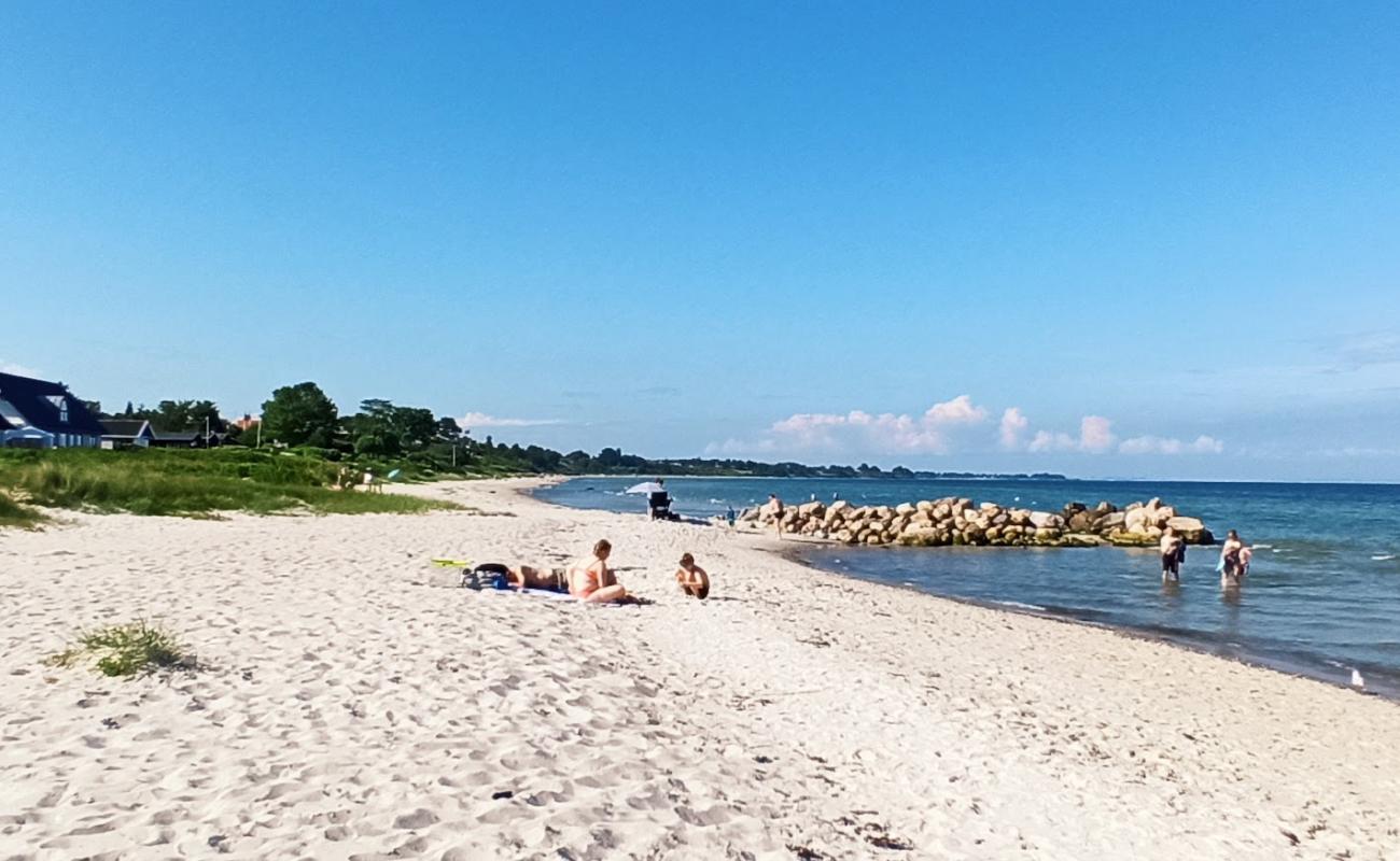 Фото Dyngby Beach с светлый песок поверхностью