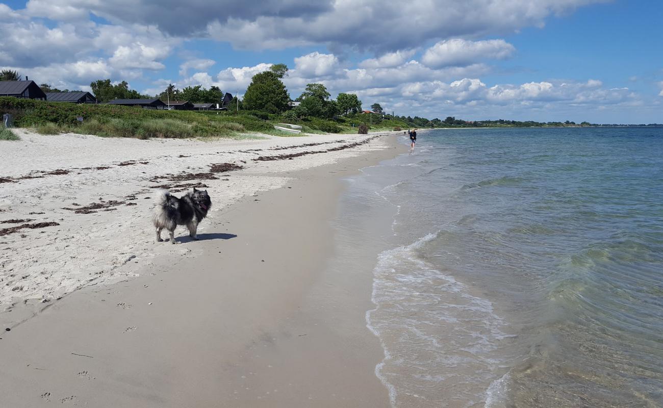 Фото Saksild Beach с светлый песок поверхностью