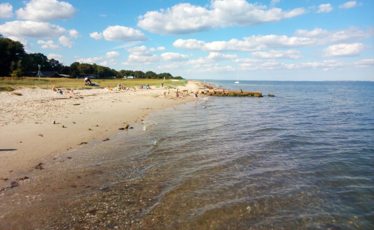 Фото Ajstrup Beach с светлый песок поверхностью