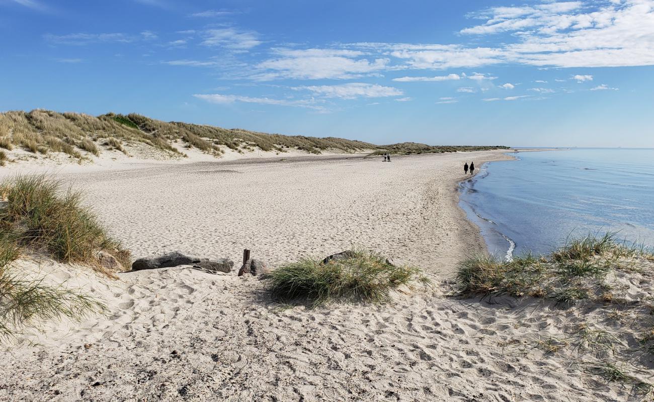 Фото Skagen Nord Beach с светлый песок поверхностью