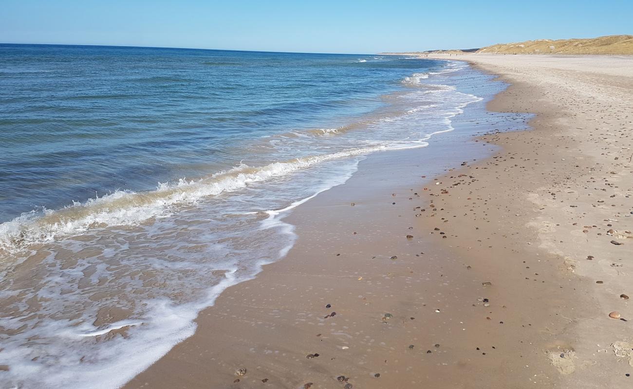 Фото Kersgard Beach с светлый песок поверхностью