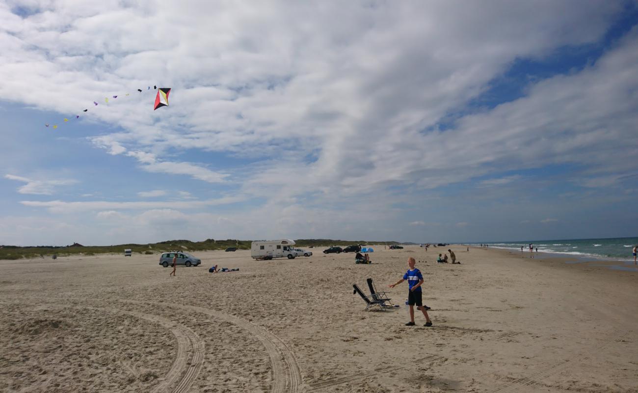 Фото Gronhoj Beach с светлый песок поверхностью