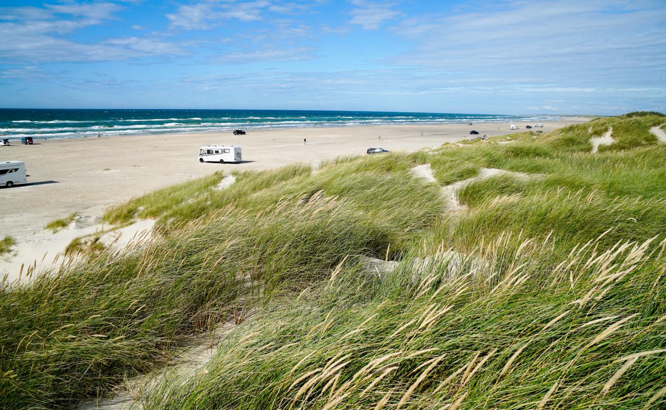 Фото Rodhus Beach с светлый песок поверхностью