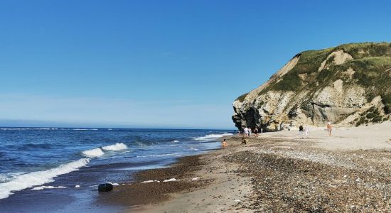 Bulbjerg Beach