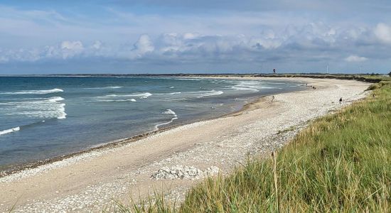 Vigso Battery Beach