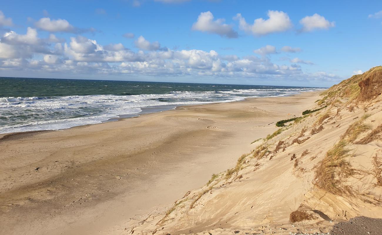 Фото Lyngby Beach с светлый песок поверхностью