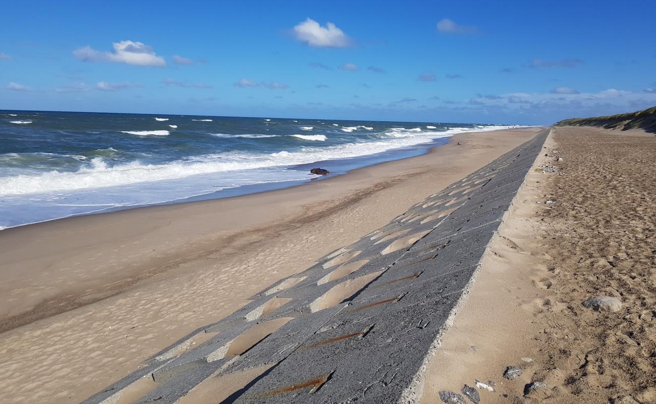 Фото Vejlby Klit Beach с светлый песок поверхностью