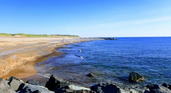 Ferring Beach