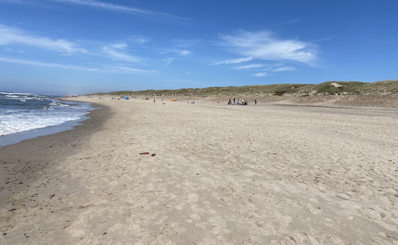 Фото Sondervig Beach с светлый песок поверхностью