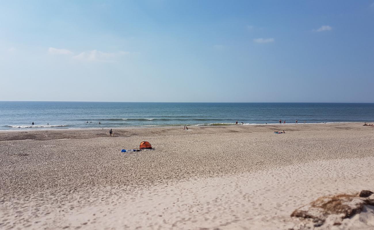 Фото Bjerregard Beach с светлый песок поверхностью