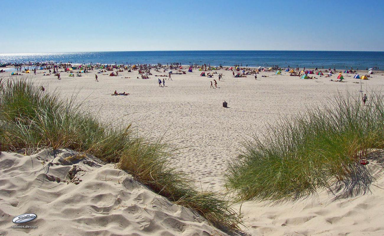 Фото Vejers Beach с светлый песок поверхностью