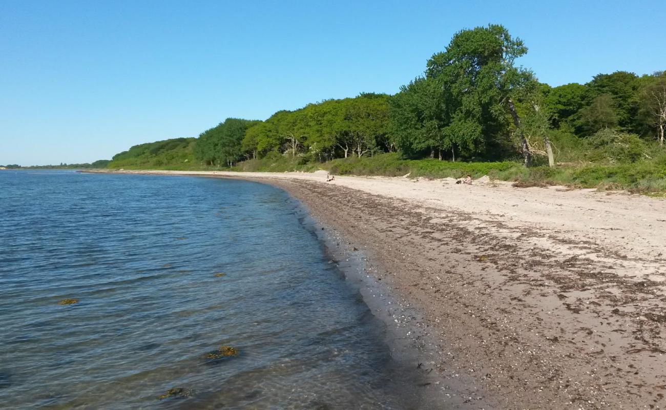 Фото Lohals Nordstrand Beach с светлый песок поверхностью