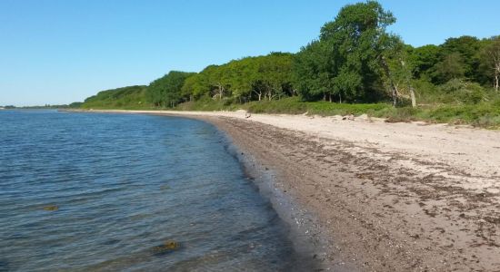 Lohals Nordstrand Beach