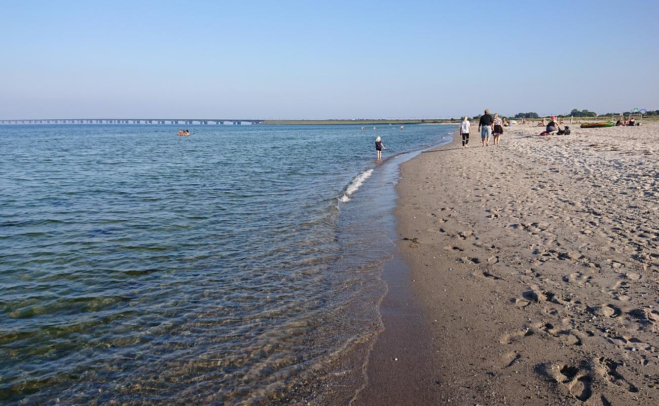 Фото Nyborg Beach с светлый песок поверхностью