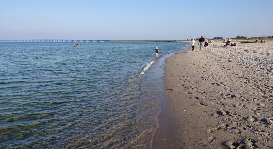 Nyborg Beach