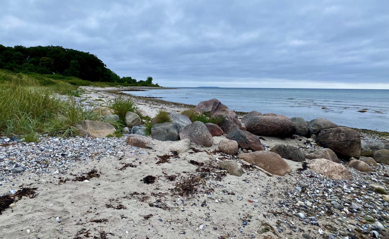 Фото Nordenhuse Beach с песок с галькой поверхностью