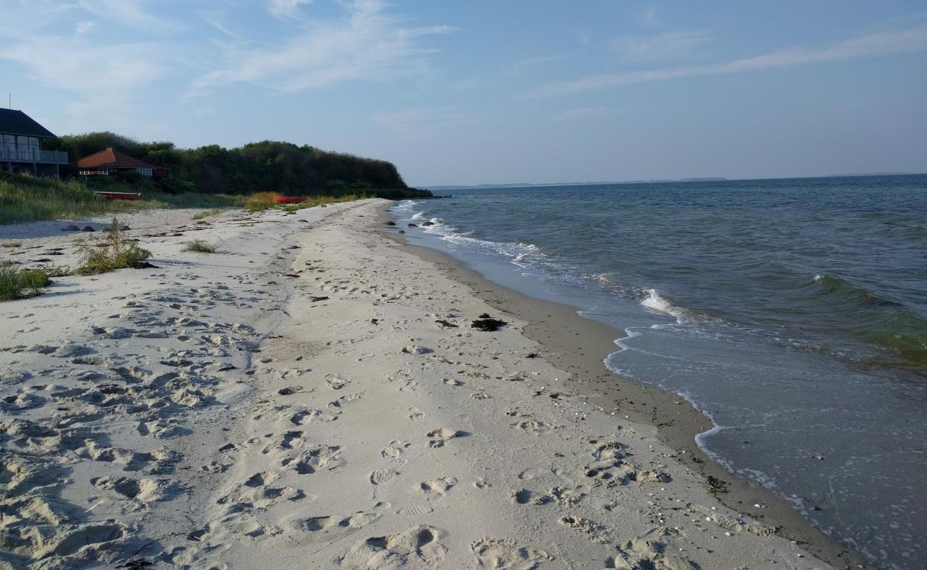 Фото Dinestrup Beach с светлый песок поверхностью