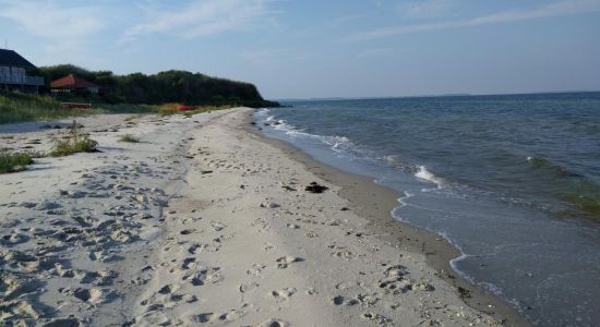 Dinestrup Beach