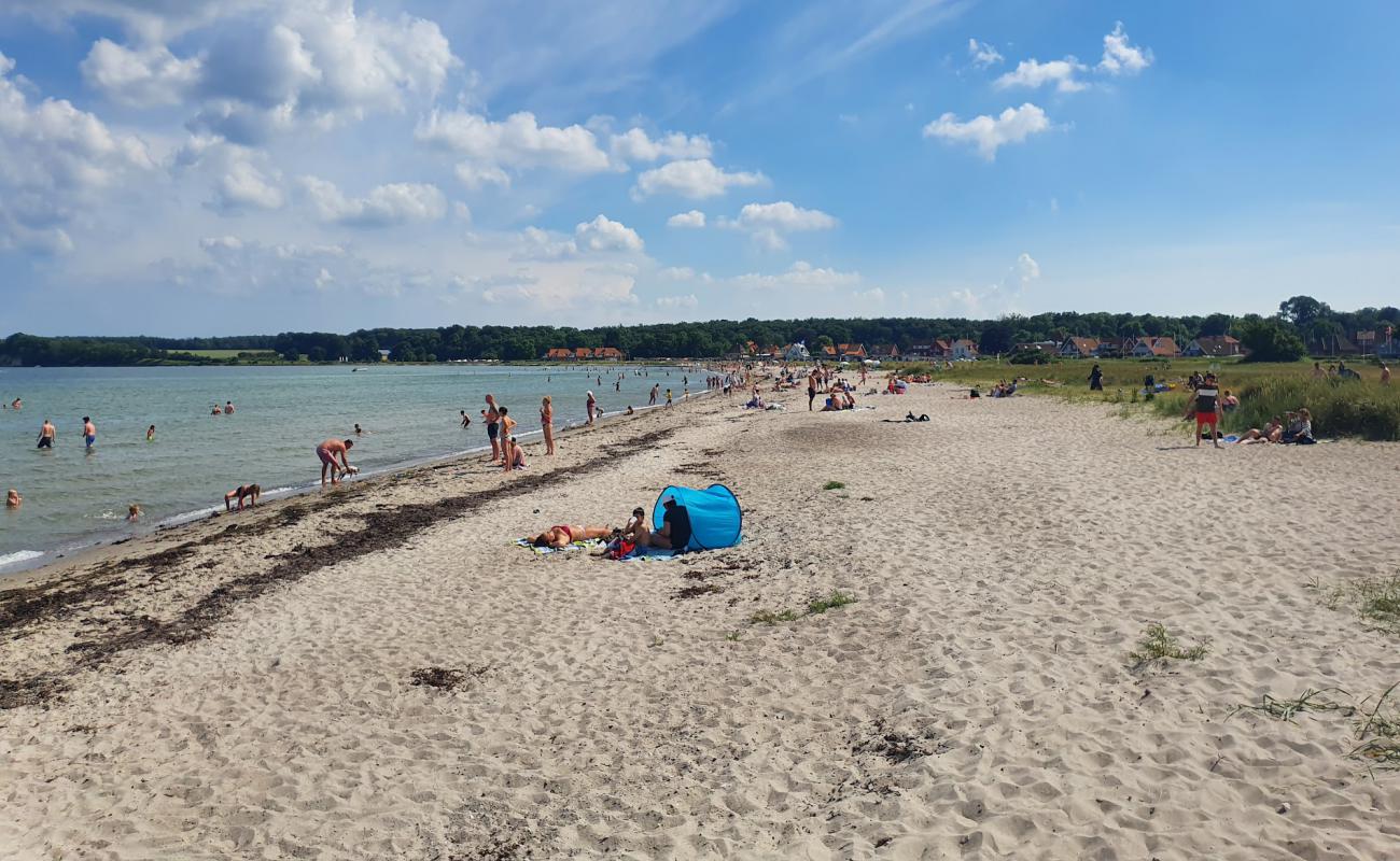 Фото Kerteminde Beach с песок с галькой поверхностью