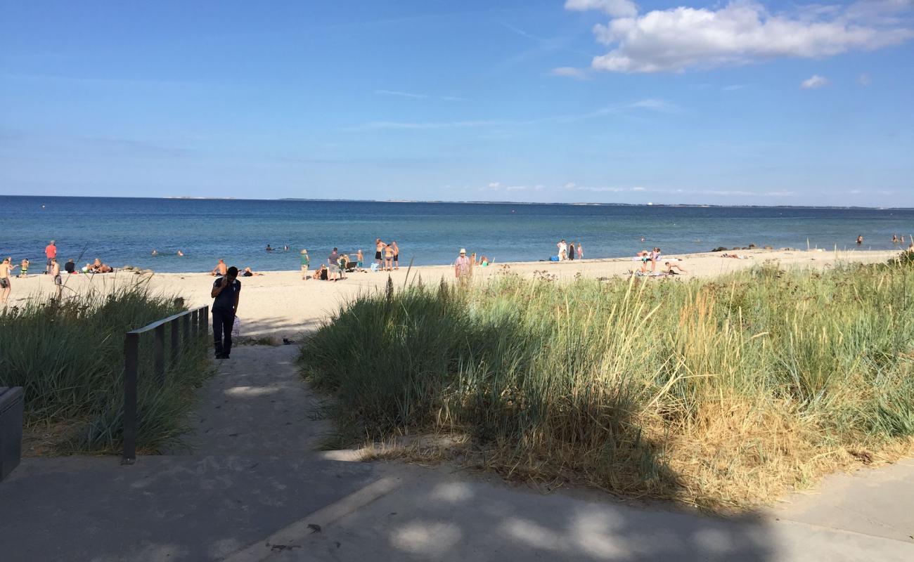 Фото Hasmark Beach с светлый песок поверхностью