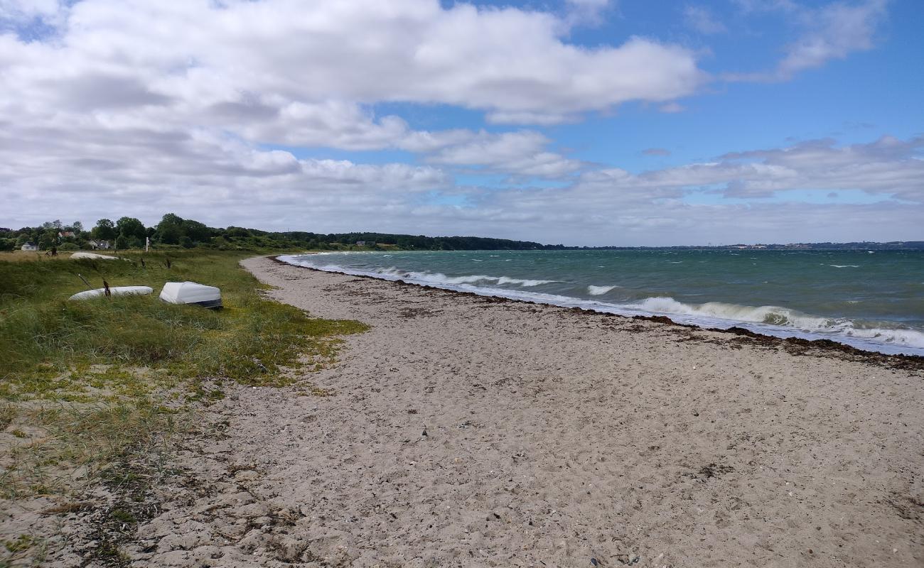 Фото Varbjerg Beach с песок с камнями поверхностью