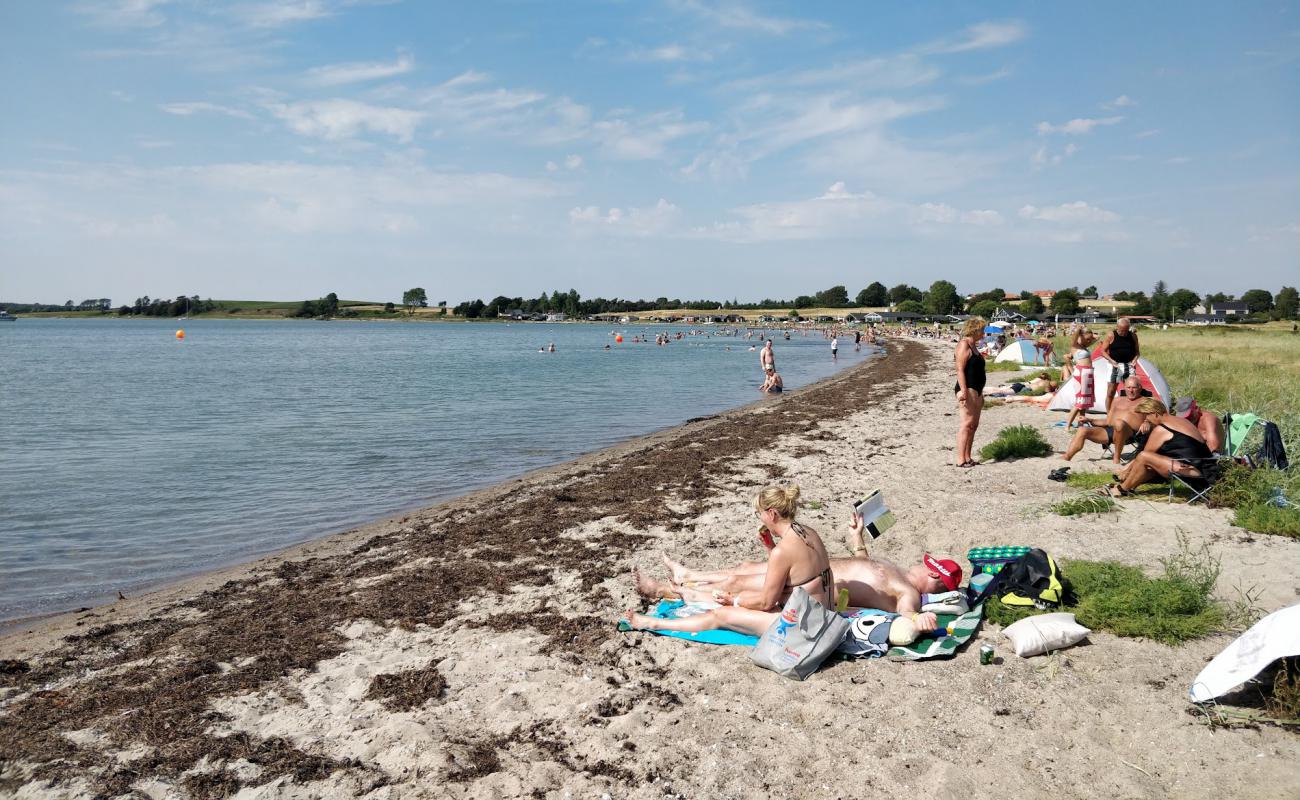 Фото Fons Beach с светлый песок поверхностью