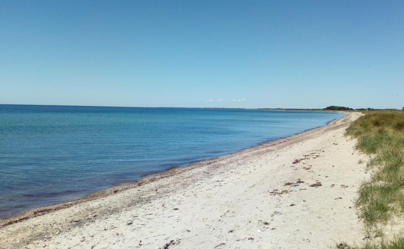 Фото Bredfjed Beach с светлый песок поверхностью