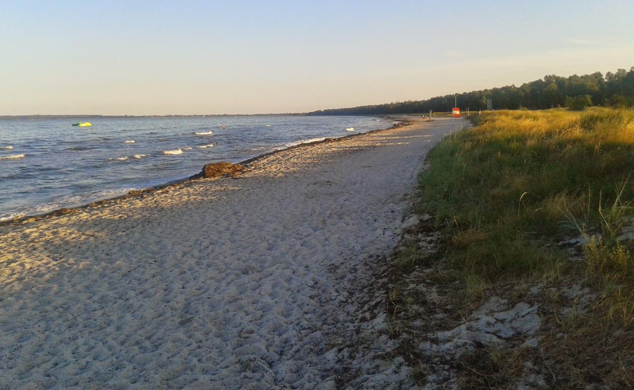 Фото Fed Beach с светлый песок поверхностью