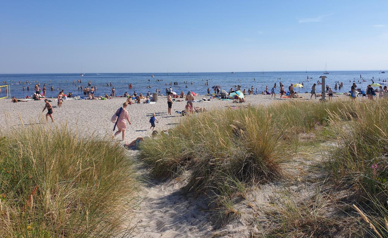 Фото Ishoj Beach с светлый песок поверхностью