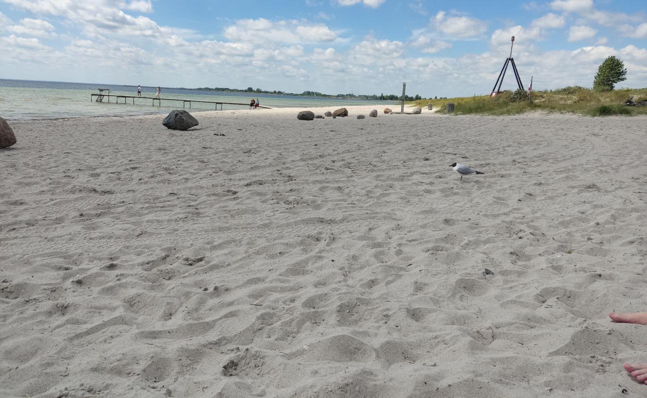 Фото Brondby Beach с светлый песок поверхностью