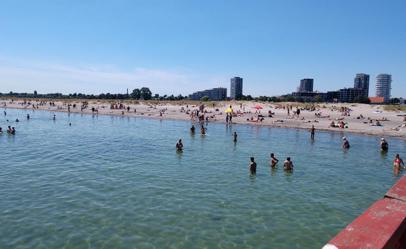 Фото Amager Beach с светлый песок поверхностью