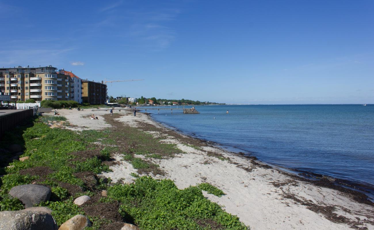 Фото Hellerup Beach с светлый песок поверхностью