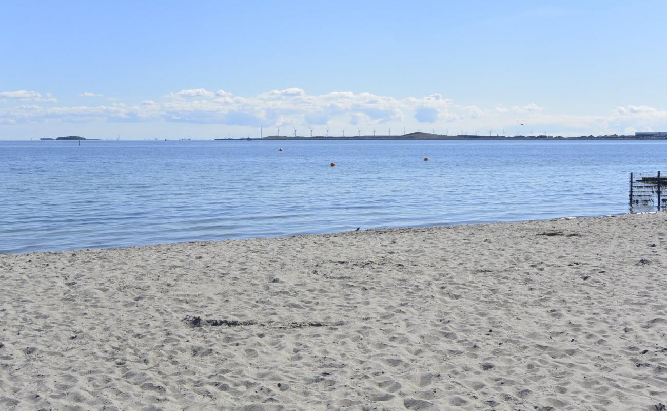 Фото Strandlund nudist Beach с светлый песок поверхностью