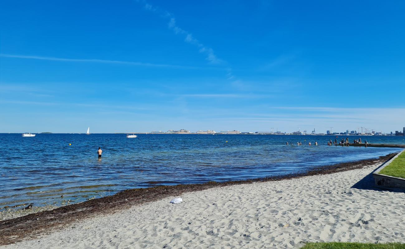 Фото Charlottenlund Beach с светлый песок поверхностью