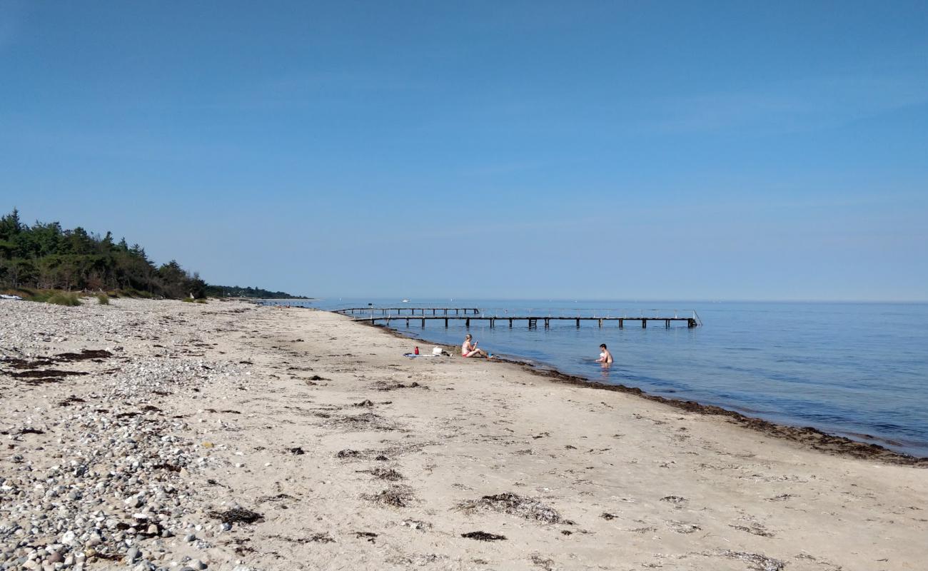 Фото Smidstrup Beach с песок с галькой поверхностью