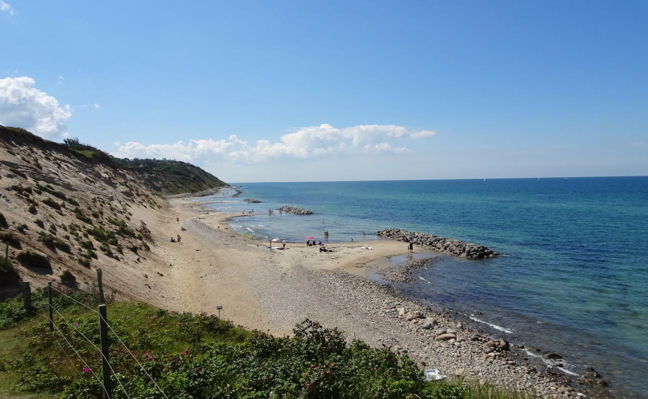 Фото Vejby Beach с светлый песок поверхностью