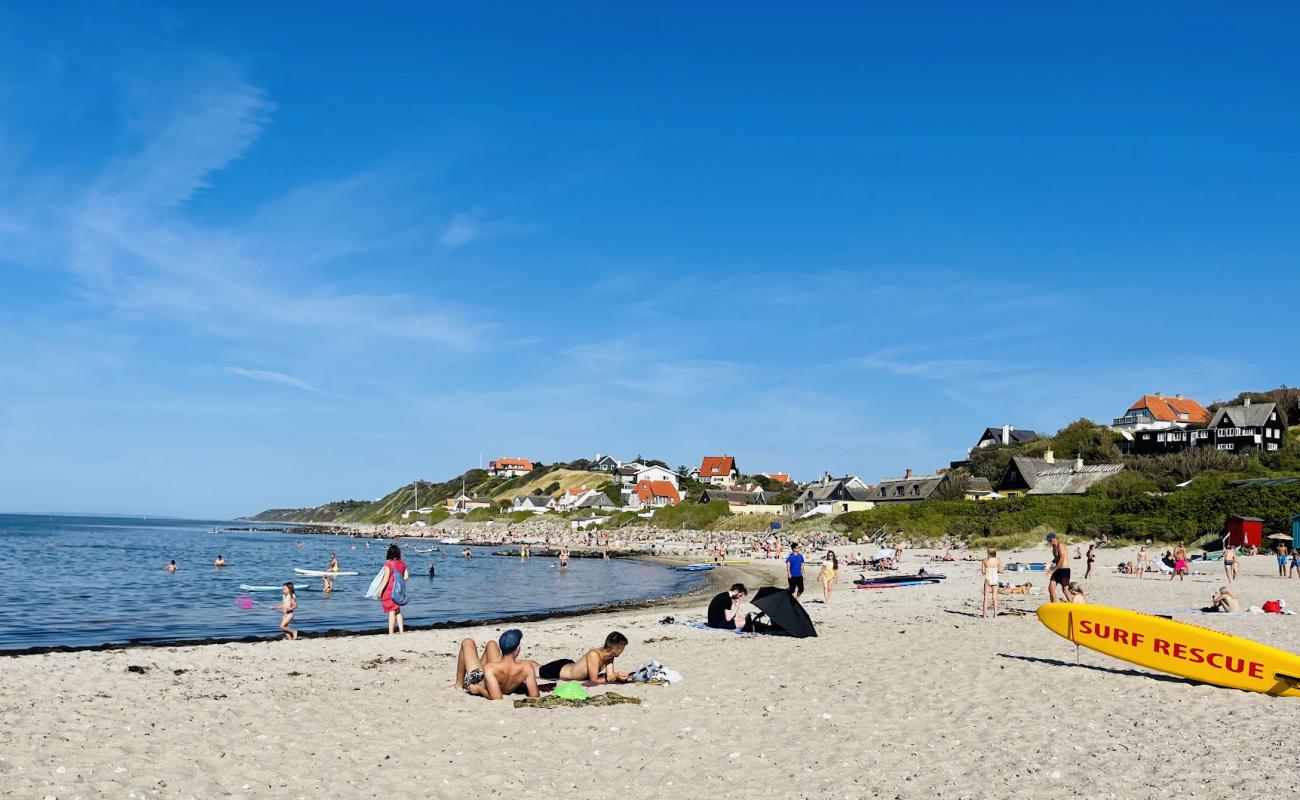 Фото Tisvildeleje Beach с песок с камнями поверхностью