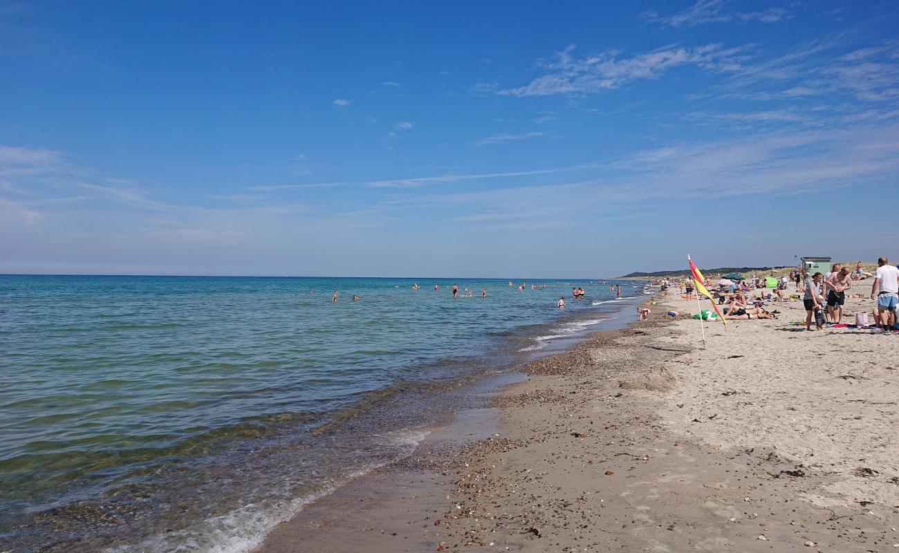 Фото Stangehus Beach с песок с галькой поверхностью