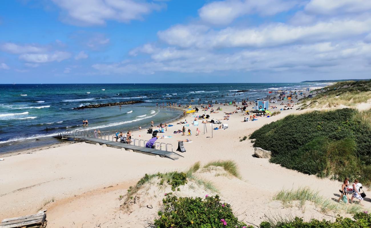 Фото Liseleje Beach с светлый песок поверхностью