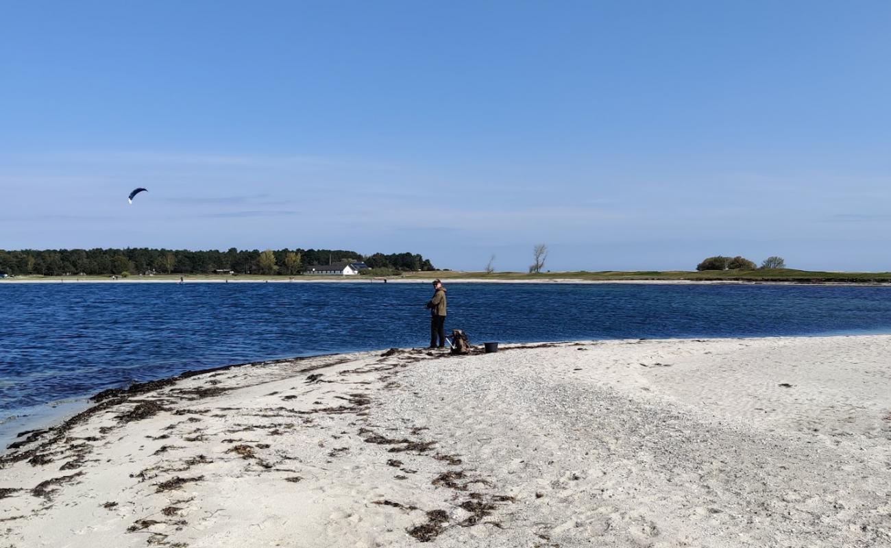 Фото Skansehage Beach с светлый песок поверхностью