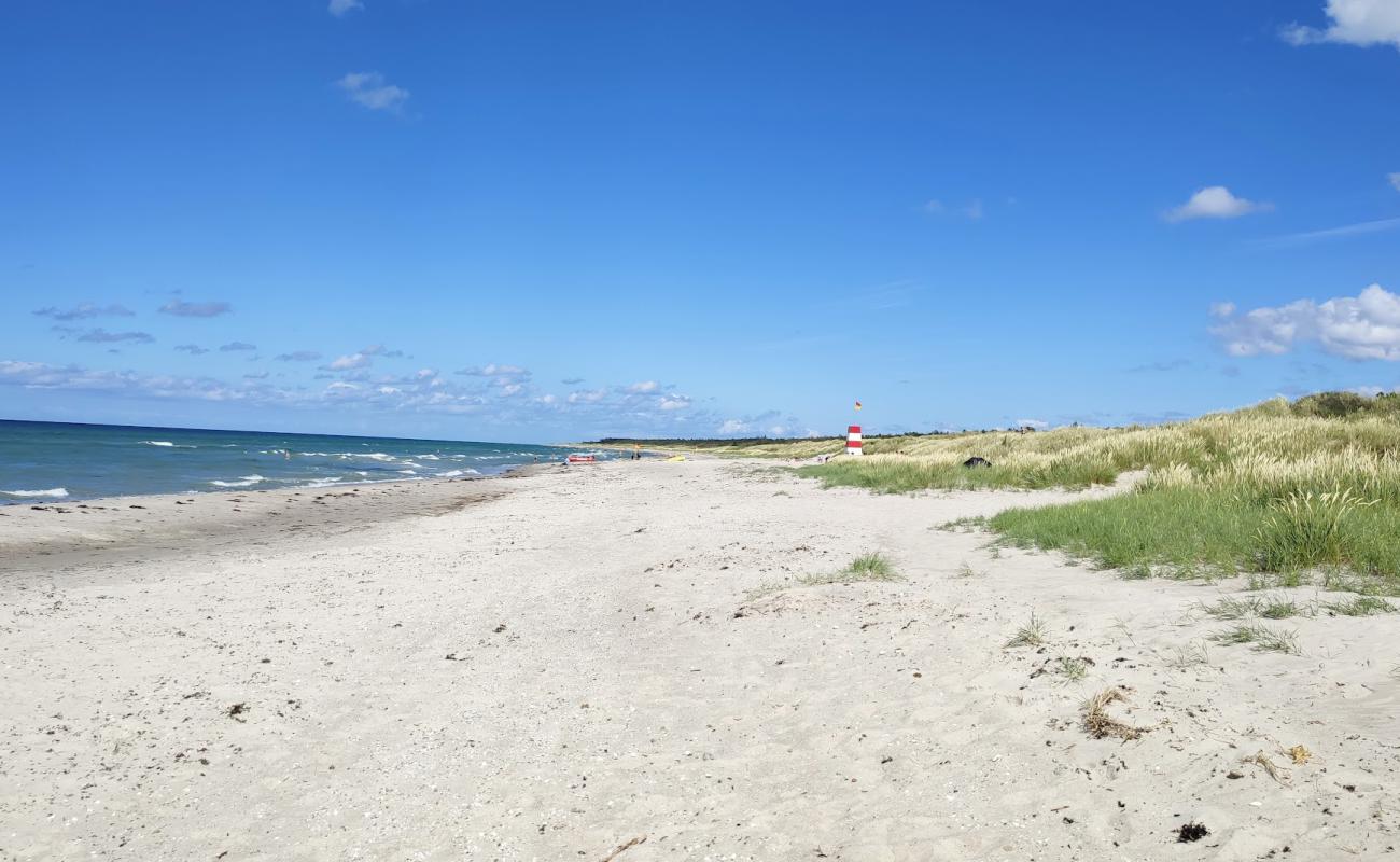 Фото Rorvig Beach с светлый песок поверхностью