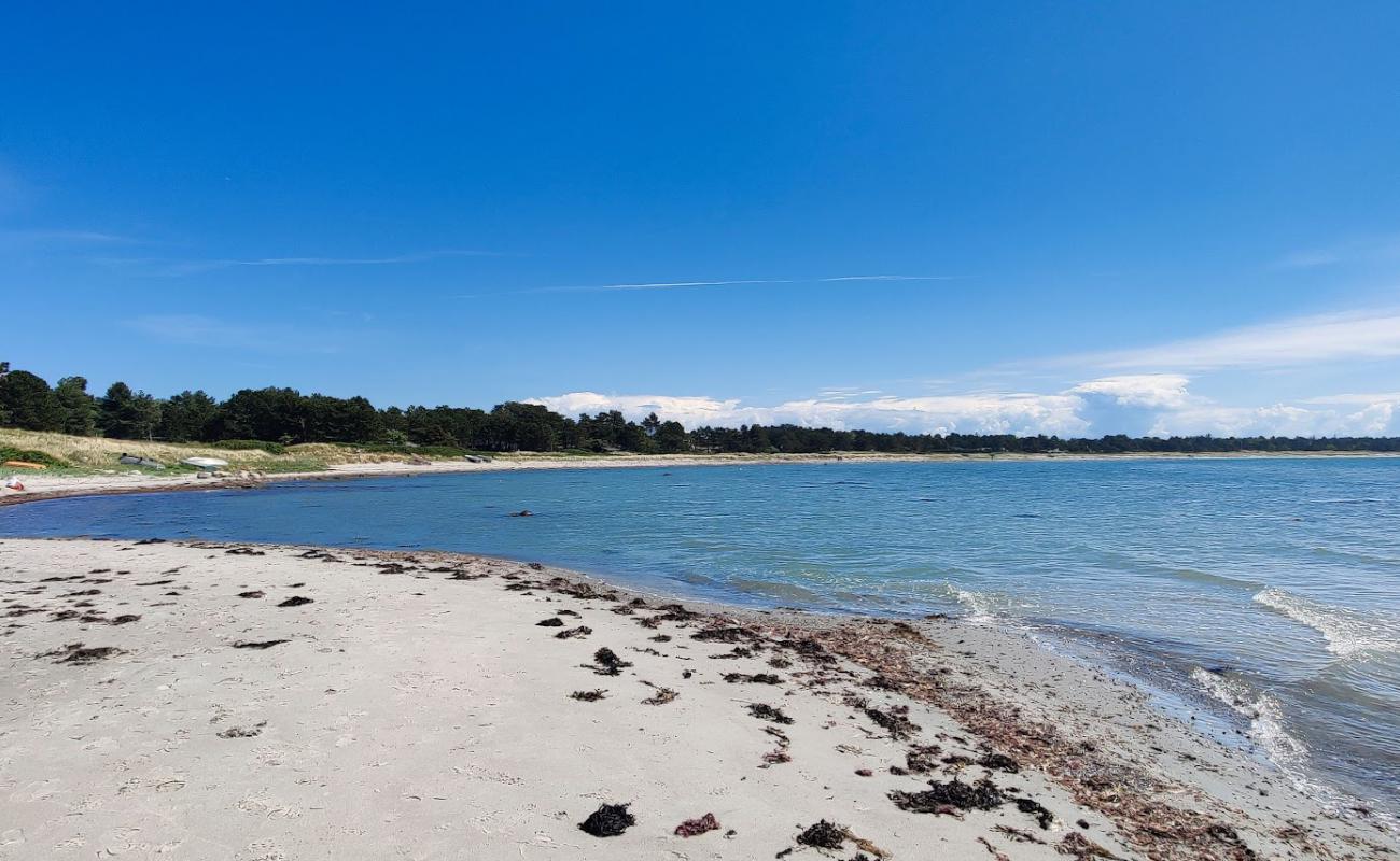 Фото Tengslemark Beach с светлый песок поверхностью