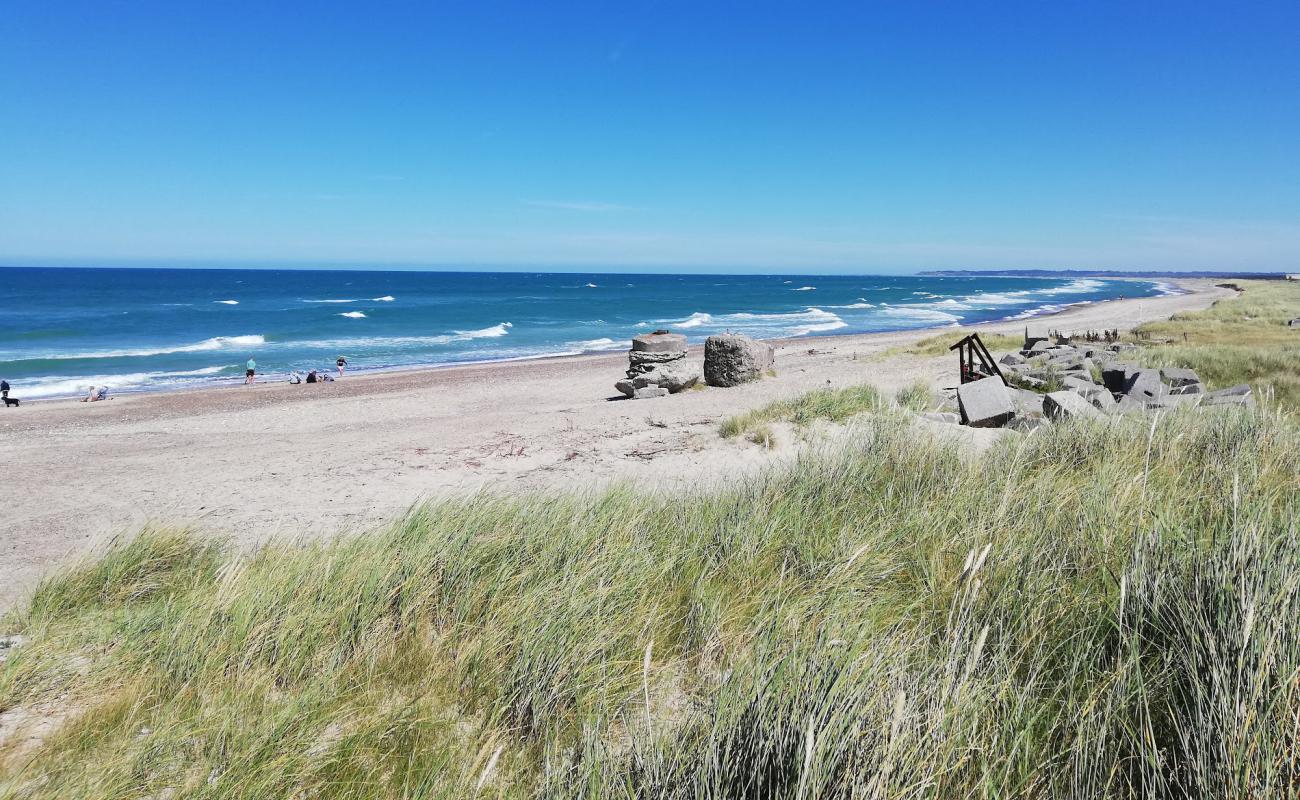 Фото Thorup strand с светлый песок поверхностью