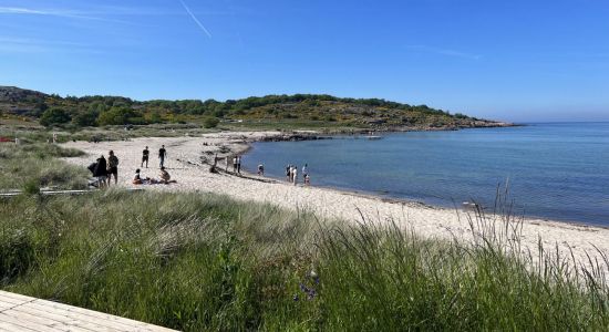 Sandvig Strand Bornholm