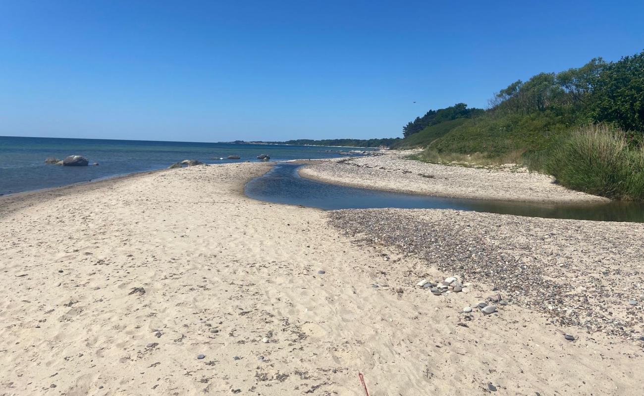 Фото Strand Molle Odde с светлый песок поверхностью