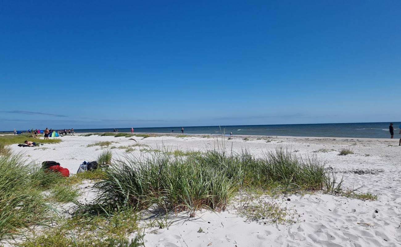 Фото Dueodde Beach с белый песок поверхностью