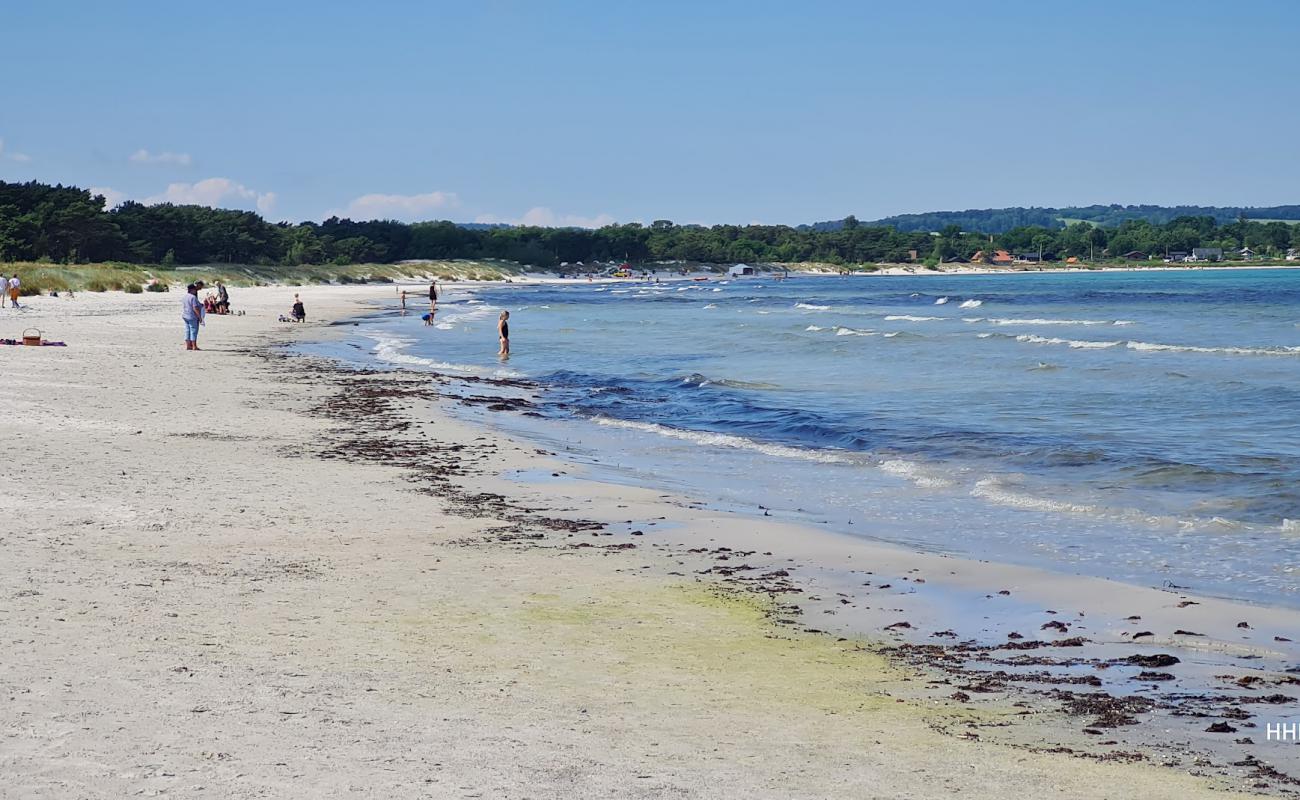 Фото Balka Strand Bornholm с светлый песок поверхностью