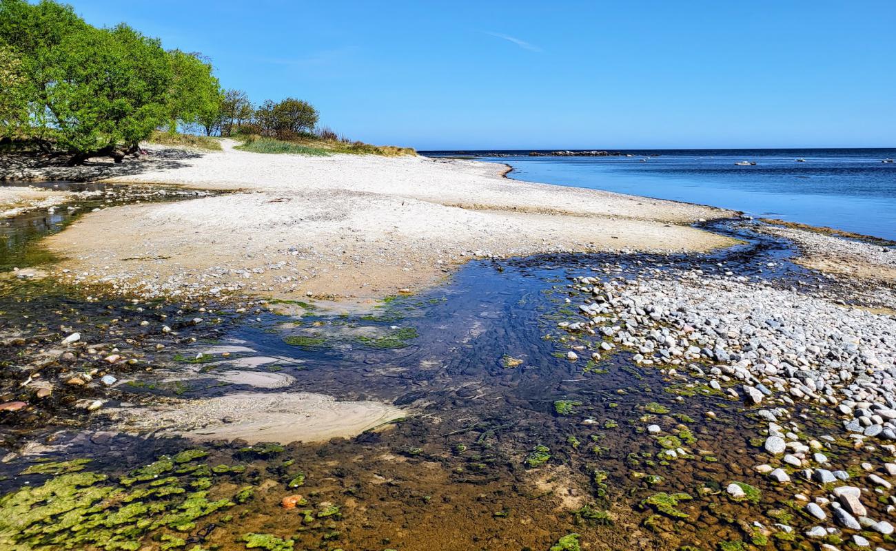 Фото Melsted Beach с светлый песок поверхностью