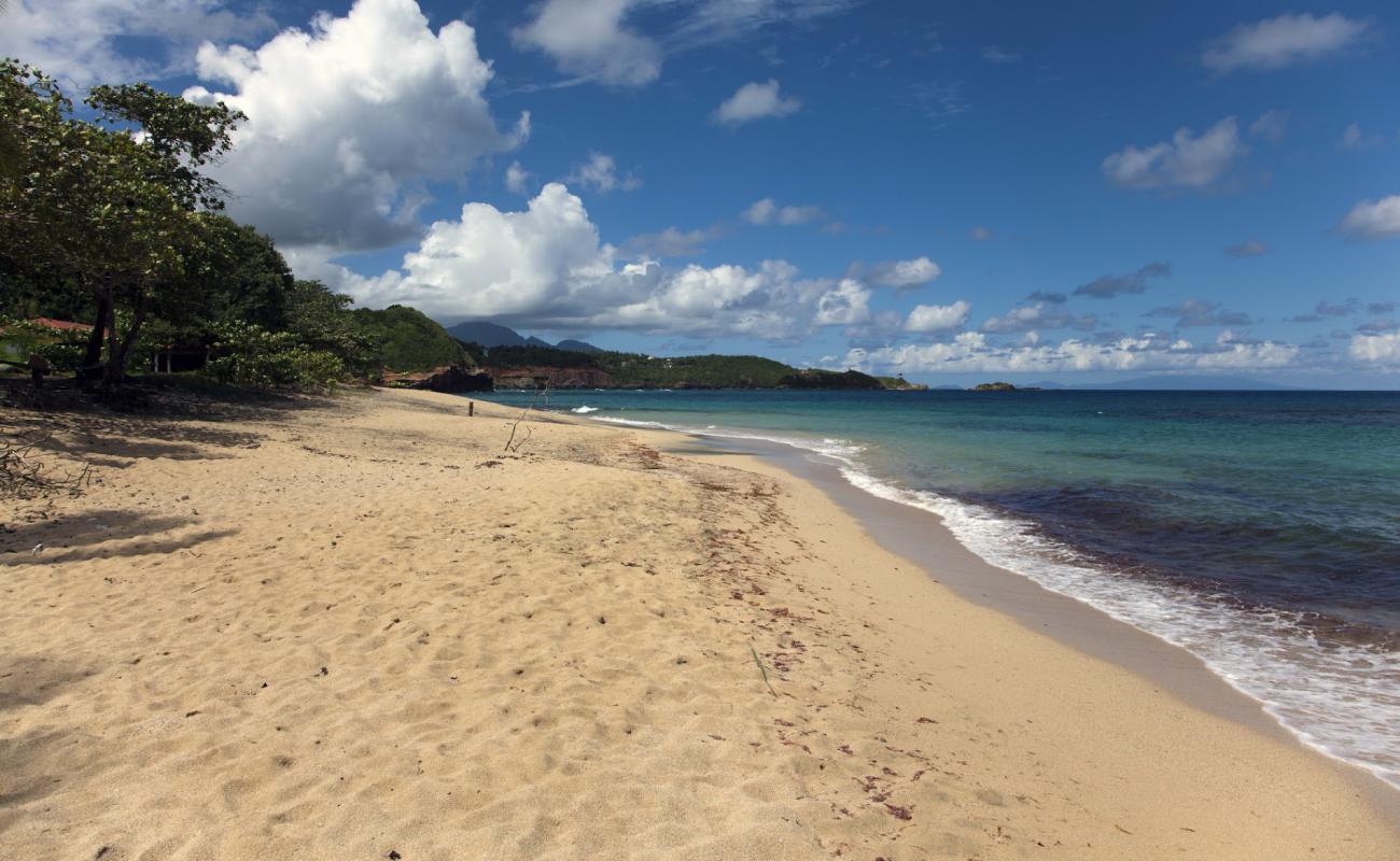 Фото La Taile Bay Beach с темный песок поверхностью